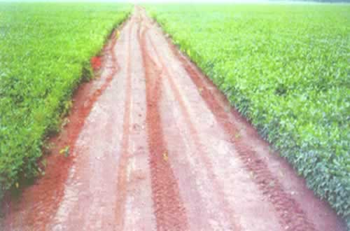 Área com 900 alqueires paulista