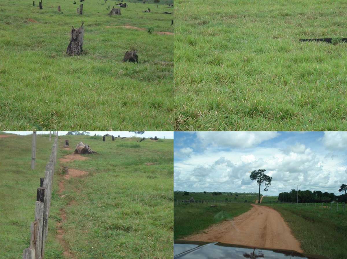 Fazenda de 17 mil hectares