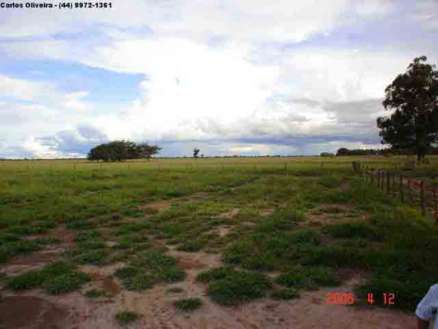 Fazenda de 2000 Hectares (Anel da Soja) Impecável!!!!!