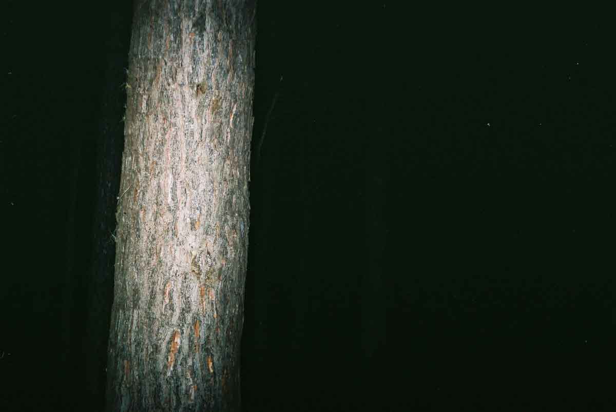 FAZENDA DE 140 ALQUEIRES