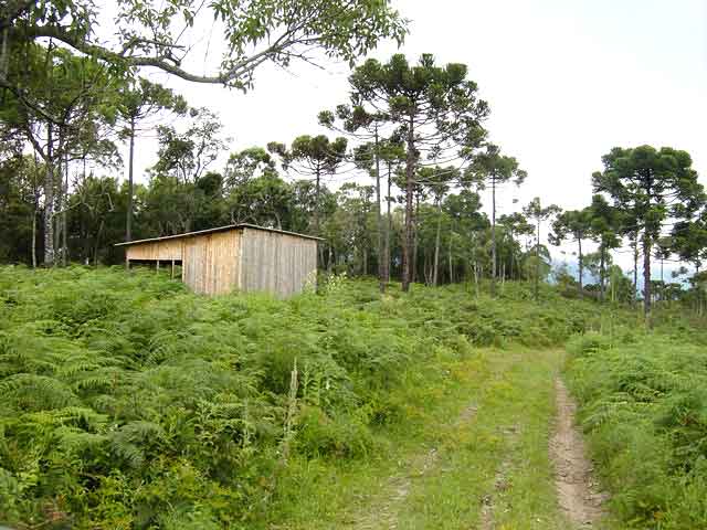 Vende-se sitio em Urubici Sc