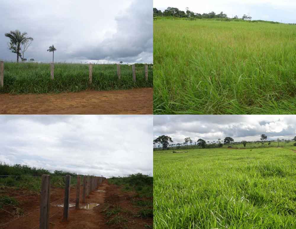 Fazenda de 15207 hectares