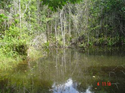 LINDO SITIO EM SERRA GRANDE A 20 km DE ITACARÉ BAHIA