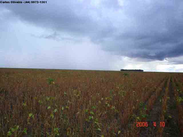 Fazenda de 6000 Hectares (Anel da Soja) Impecável!!!!!