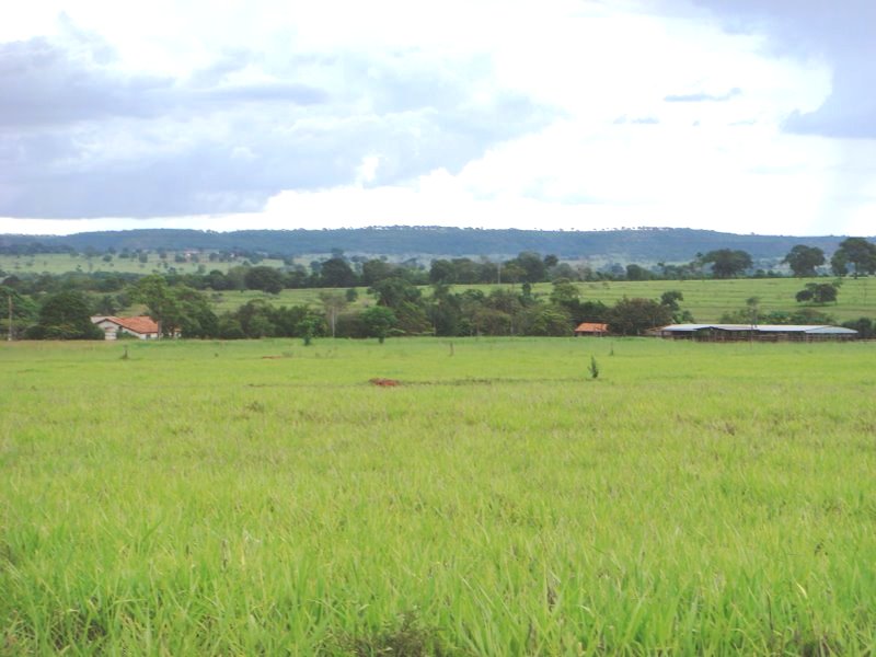 Fazenda venda em campina verde Minas Gerais