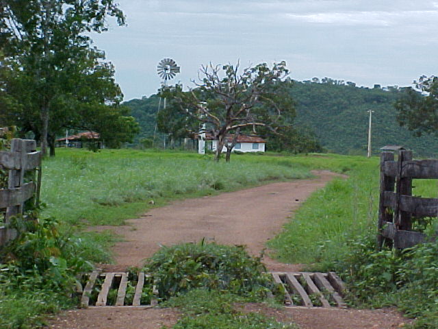  Excelente Fazenda em Tocantins