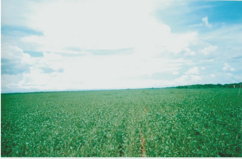 Fazenda para Soja em Tocantins