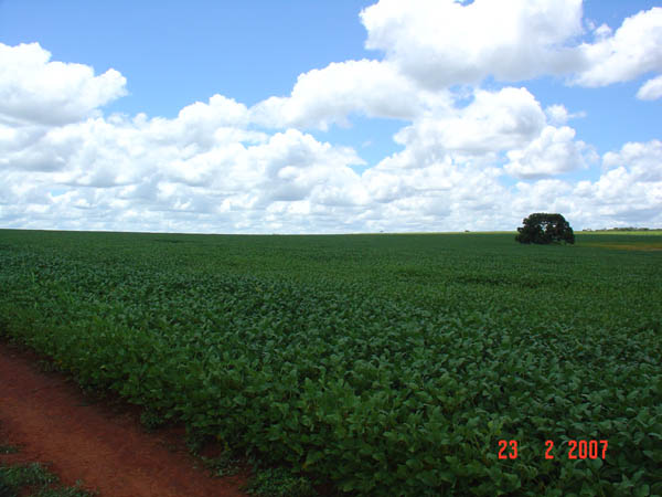 270 Ha CRISTALINA GO