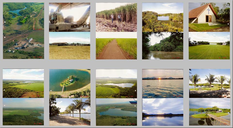 Vendo Fazenda com Agro negócio (Destilaria de aguardente)