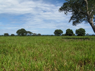FAZENDA SANTA MARIA