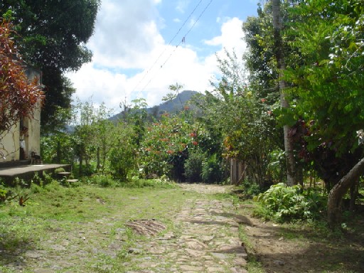 FAZENDA DE CACAU NO SUL DA BAHIA ENTRE COARACI E ALMADINA