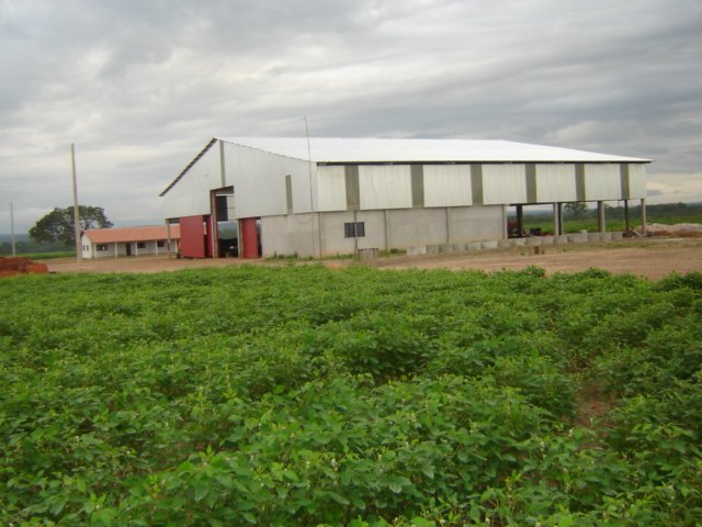 Ótimo negocio de Fazenda no Tocantins