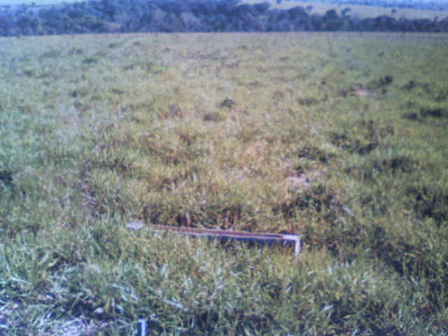 Fazenda 320 Alqueires - MT