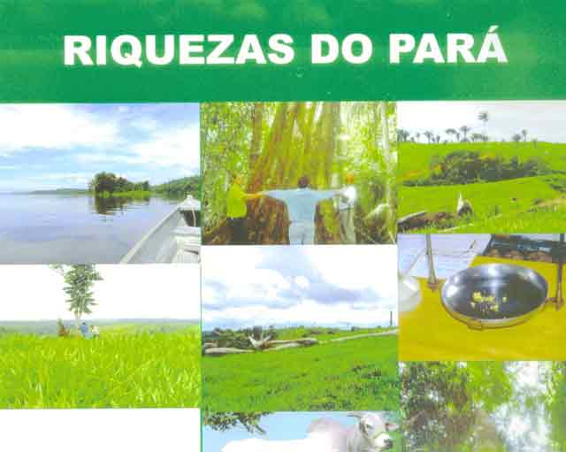 FAZENDA 15000 HECTARES
