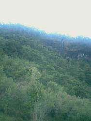 Sítio na Mantiqueira...