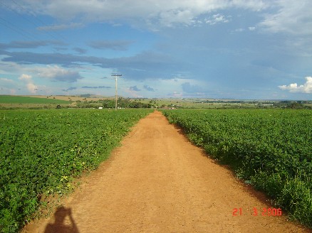 Fazenda Jardim, 57 km de Brasília