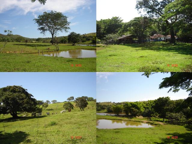 FAZENDA DE 153 alqueires (306 alqueires paulistas).