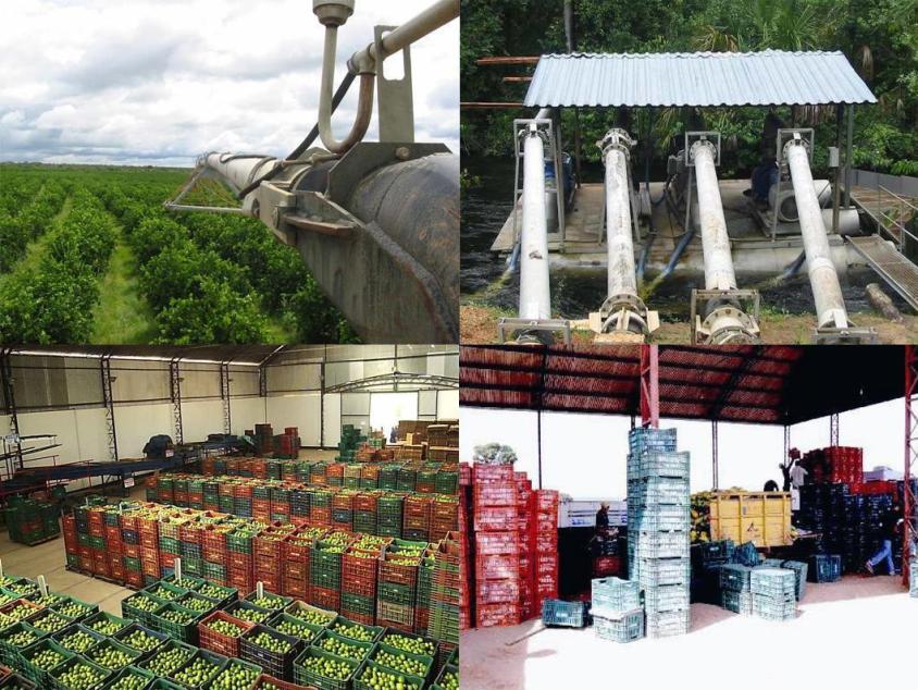 ESPETACULAR FAZANDA NO OESTE BAHIANO UMA DAS MELHORES CONFIRA !!!