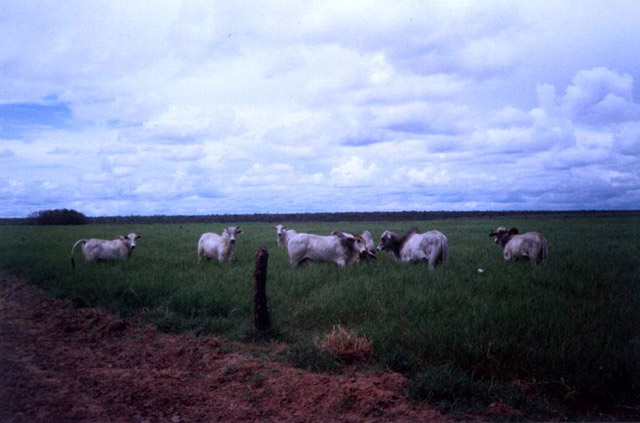 FAzenda de 3800 Hectares Oeste Bahiano  débito junto ao Banco do Brasil, que pode ser transferido.