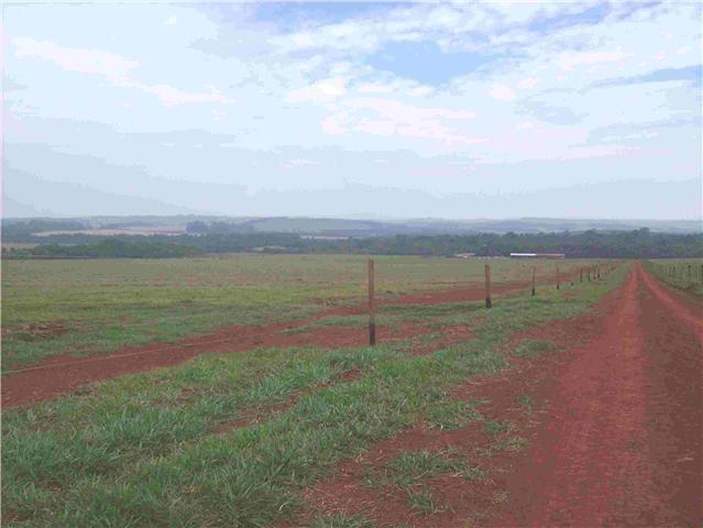 fazenda de 300alq beira rapozo tavares
