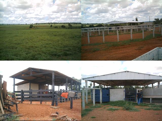 FAzenda de 2015 Hectares