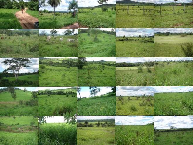 Fazenda de 3726 hectares