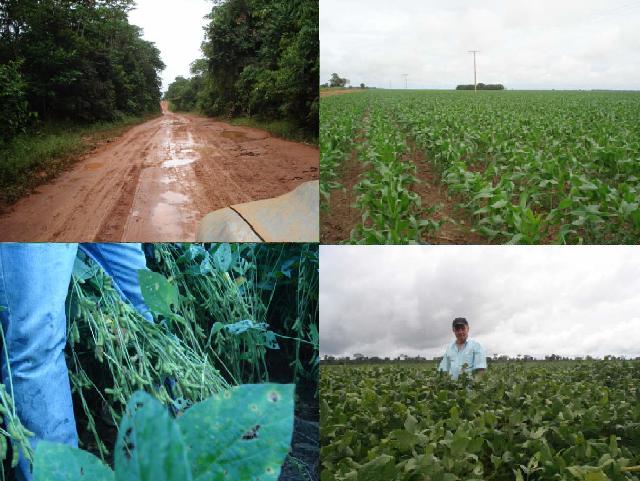 Fazenda com Área total 2.060 hectares