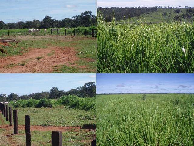 Fazenda com Área de 3.000 hectares
