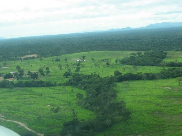 fazendade 24 alqueires