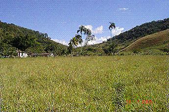FAZENDA PRÓXIMA A MURIAÉ - MG - BR116 KM 680 