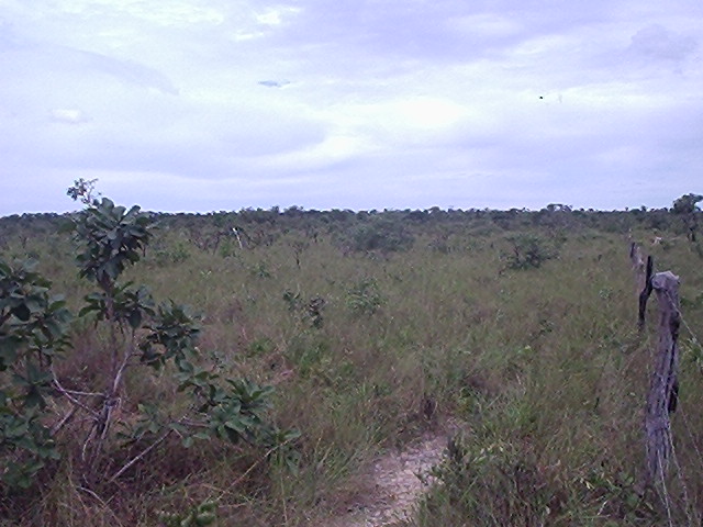 fazenda a venda minas gerais