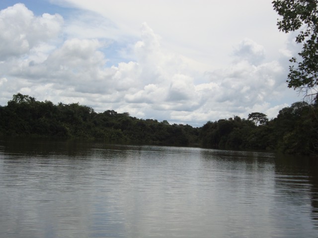 Fazenda própria p/ Agricultura e Pecuária Brejinho de Nazaré/TO