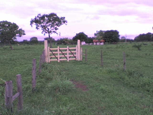 Excelente Fazenda em Flores Goiás