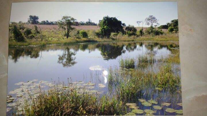 Vende-se Sitio na Cidade do Anhembi