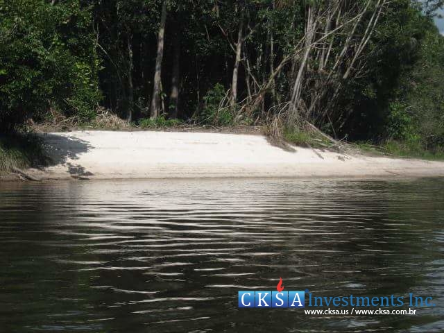 Oportunidade de Investimento na Amazônia