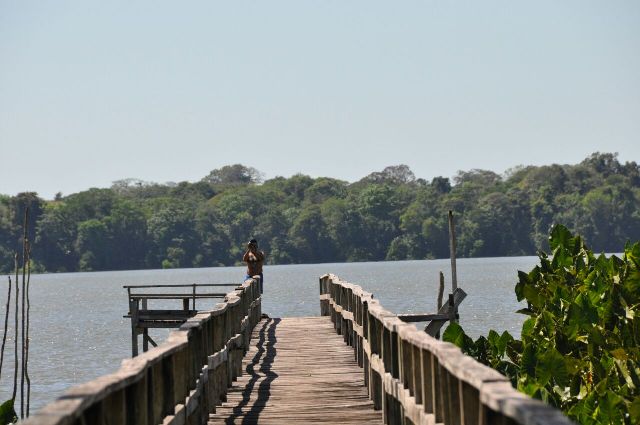 Propriedade com potencial área de produção de açaí, palmito, cacau e castanha do pará