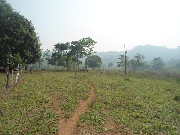 sitio 56 hectares com 30 hectares formado ariquemes