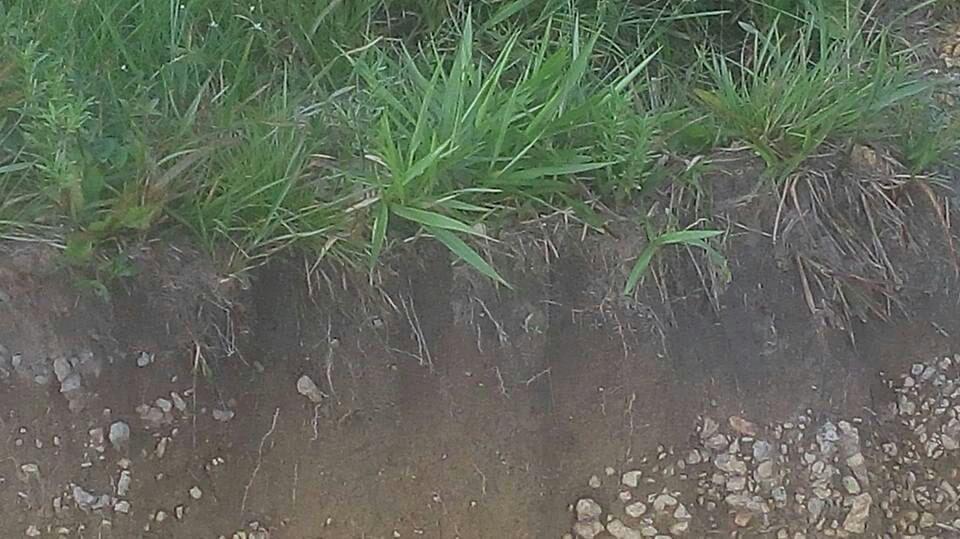 fazendas na nova fronteira agricula no estado do para