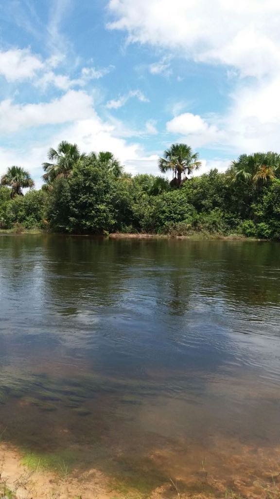 fazenda no oeste da Bahia