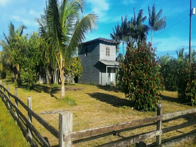 Fazenda à venda Tartarugalzinho - Amapá -