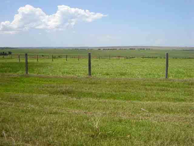 FAZENDA DE 1500 HECTARES