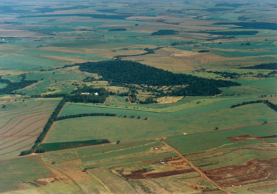 FAZENDA MODELO 323ALQ/ BELA VISTA// NO ASFALTO