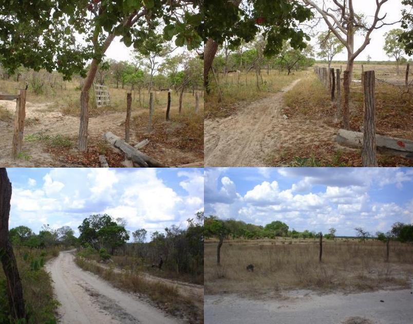 Fazenda de 7800 hectares Imperdível !!!!!!!!!!!!!!!!!