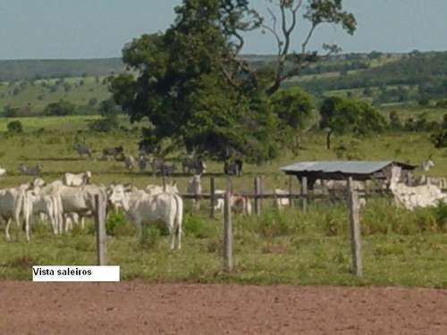 Coxim 1a linha 3,5 km do asfalto