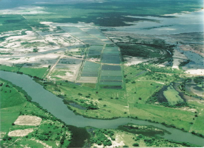 TERRENO 5 Ha PRAIA DA BALEIA CEARÁ