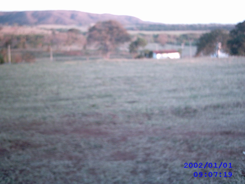 FAZENDA PARA SOJA OU CANA