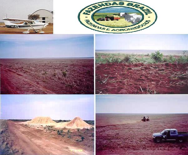 FAZENDA DE 11000 HECTARES