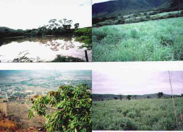 FAZENDA DE 1200 ALQUEIRES PAULISTA