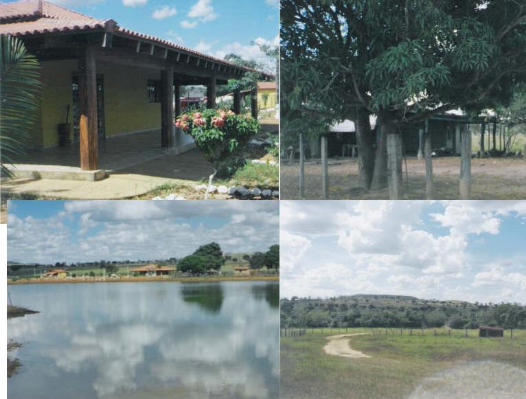 2710 HECTARES MATO GROSSO