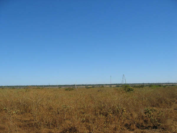 Área 1.860 HECTARES